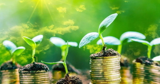 Аднаўленне эканомікі павінна адбывацца ў адпаведнасці з экалагічнымі прынцыпамі — СААЗ