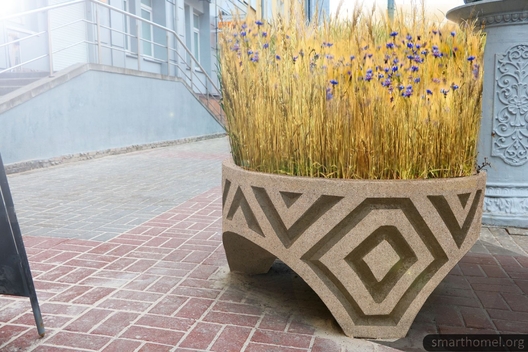 6._praspekt_lenina_homel_plants_2.jpg 6._praspekt_lenina_homel_plants_2.jpg