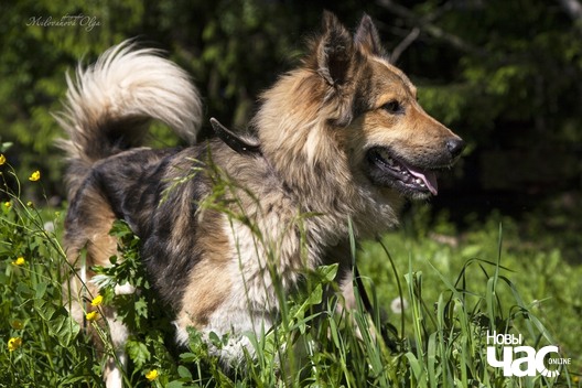 61987238_362160584440894_2124842534625607680_o_logo.jpg 61987238_362160584440894_2124842534625607680_o_logo.jpg