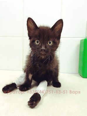 62268601_2997479793625356_2889043364068458496_o_logo.jpg 62268601_2997479793625356_2889043364068458496_o_logo.jpg