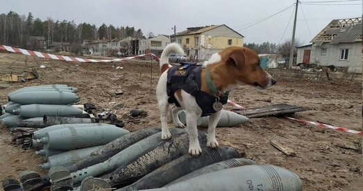 Чаму рускія — «оркі» і што рабіць Лукашэнку на ўкраінска-расійскіх перамовах