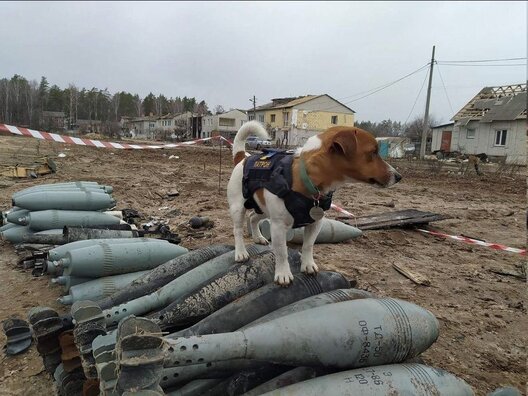 66fb242558e29973af86e9c921156664d3f96cbb.jpeg 66fb242558e29973af86e9c921156664d3f96cbb.jpeg