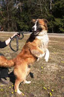 67104150_2402142953348757_4889393952337166336_n_logo.jpg 67104150_2402142953348757_4889393952337166336_n_logo.jpg