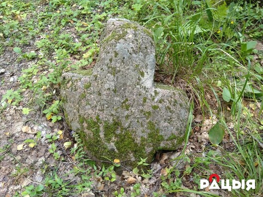 2/4 67408318_11091122.jpg