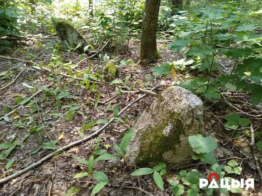 3/4 67411679_1109112265.jpg