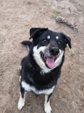 6vmynd_fywa_logo.jpg 6vmynd_fywa_logo.jpg