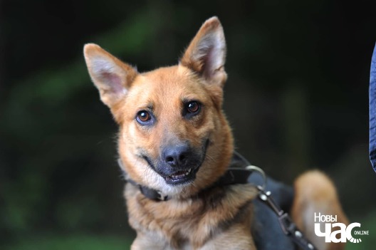 71500729_990226814644044_2222114941060513792_n_logo.jpg 71500729_990226814644044_2222114941060513792_n_logo.jpg