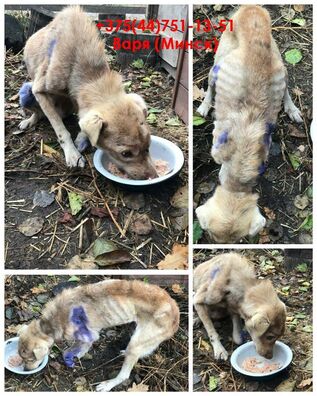 71585745_3328933850479947_3255186950935543808_o_logo.jpg 71585745_3328933850479947_3255186950935543808_o_logo.jpg