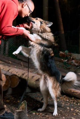 5/6 72242819_500847420482711_1163083444473823232_nhhhrrrrrrr_logo.png