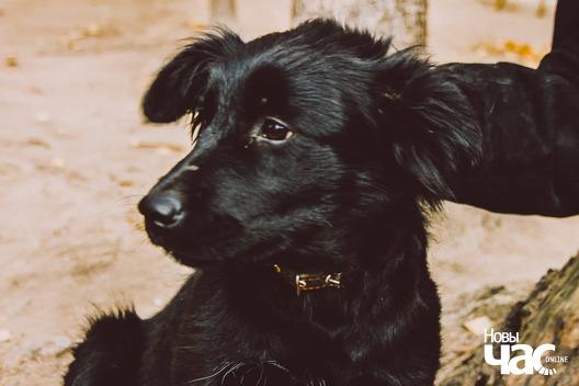 72277838_562654274275040_2117428763942715392_n_logo.jpg 72277838_562654274275040_2117428763942715392_n_logo.jpg