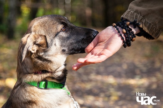 72392219_431604314163187_1589684528597696512_o_logo.jpg 72392219_431604314163187_1589684528597696512_o_logo.jpg