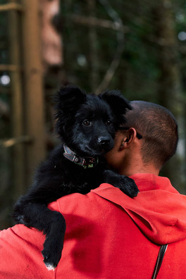 72440393_419191848736576_4775127103341330432_n_logo.jpg 72440393_419191848736576_4775127103341330432_n_logo.jpg