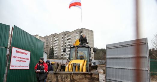 Лукашэнка загадаў «спыніць разбой» з высечкай дрэваў. Матолька: «Хацелася б верыць»
