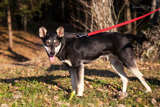 73539177_442160333107585_2625244445523574784_o.jpg 73539177_442160333107585_2625244445523574784_o.jpg