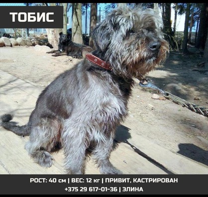 74424794_1285649288262800_7791376833097760768_n.jpg 74424794_1285649288262800_7791376833097760768_n.jpg