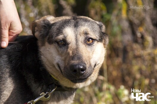 74506387_435975073726111_1340048586833920000_o_logo.jpg 74506387_435975073726111_1340048586833920000_o_logo.jpg