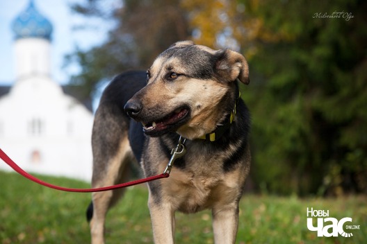 74718696_435974500392835_1217581485628850176_o_logo.jpg 74718696_435974500392835_1217581485628850176_o_logo.jpg