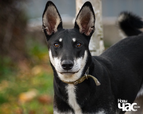 74ak9l3pa2u_logo.jpg 74ak9l3pa2u_logo.jpg