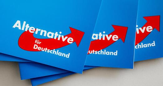 Як зменіцца палітычны ландшафт Германіі пасля выбараў у Саксоніі і Цюрынгіі