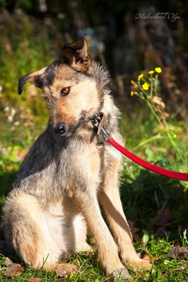 75220707_444900542833564_907705543752155136_o.jpg 75220707_444900542833564_907705543752155136_o.jpg