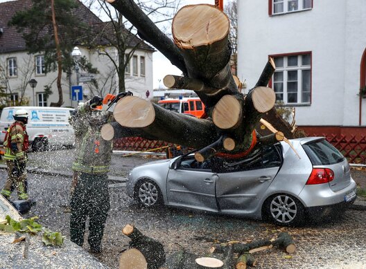 Фото: Fabrizio Bensch / Reuters Фото: Fabrizio Bensch / Reuters