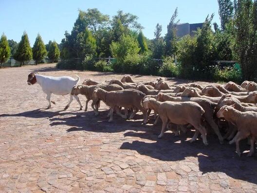 75653252_2494662944190562_4026557704293056512_n.jpg 75653252_2494662944190562_4026557704293056512_n.jpg