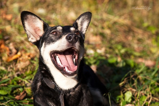 76653000_442160716440880_8500836113919770624_o.jpg 76653000_442160716440880_8500836113919770624_o.jpg