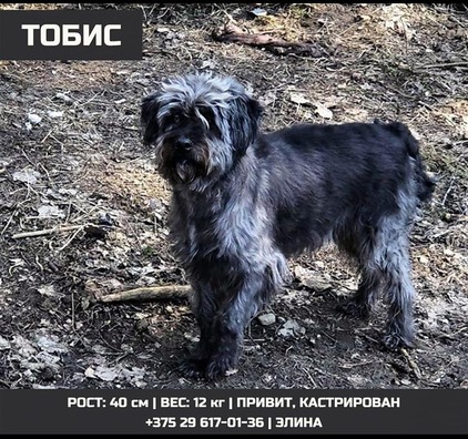 76728949_1285649331596129_7342575909129420800_n.jpg 76728949_1285649331596129_7342575909129420800_n.jpg