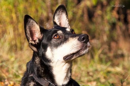 76775193_442159913107627_3452954037249376256_o.jpg 76775193_442159913107627_3452954037249376256_o.jpg