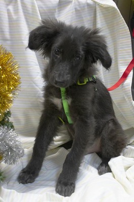 1/4 78454048_1426365507511934_1944774901164408832_n.jpg