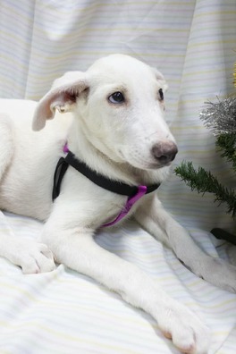 2/4 78592642_1426365470845271_3061239353268240384_n.jpg