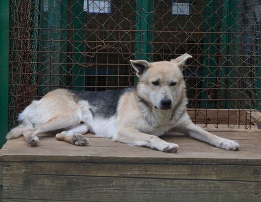 78628754_2624553137779559_4337065367139516416_o.jpg 78628754_2624553137779559_4337065367139516416_o.jpg