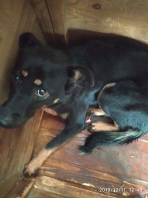 79170407_2624553187779554_4864296070424821760_o.jpg 79170407_2624553187779554_4864296070424821760_o.jpg