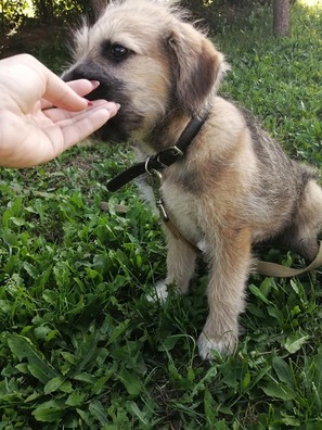 79247894_811570789247577_8117009418756353288_n_logo.jpg 79247894_811570789247577_8117009418756353288_n_logo.jpg