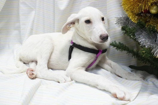 79644738_1426365437511941_707568627628376064_n.jpg 79644738_1426365437511941_707568627628376064_n.jpg