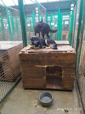 79674105_1429195430562275_5626570211898425344_n.jpg 79674105_1429195430562275_5626570211898425344_n.jpg