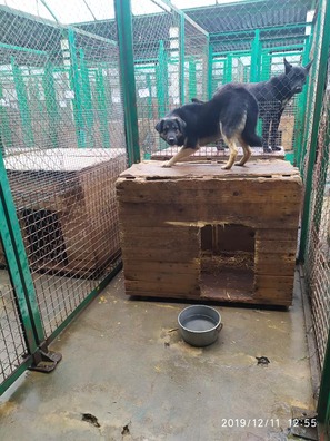 79914683_1429195393895612_6552038168428806144_n.jpg 79914683_1429195393895612_6552038168428806144_n.jpg