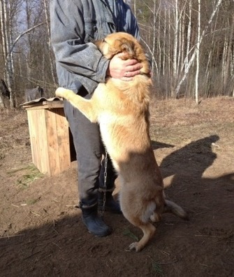 7k8h1kf_sza__1__logo.jpg 7k8h1kf_sza__1__logo.jpg