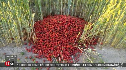 Скрыншот тэлеканала СТВ Скрыншот тэлеканала СТВ