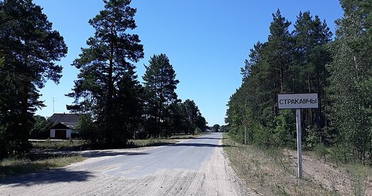 Прыйшла ў міліцыю з заявай і абразіла Лукашэнку