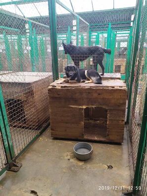 80328190_2624553354446204_4482041262366523392_o.jpg 80328190_2624553354446204_4482041262366523392_o.jpg