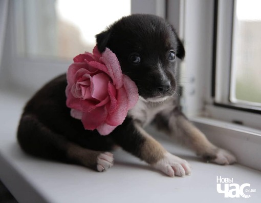 82466841_1187711758249071_1098745418376043604_n_logo.jpg 82466841_1187711758249071_1098745418376043604_n_logo.jpg