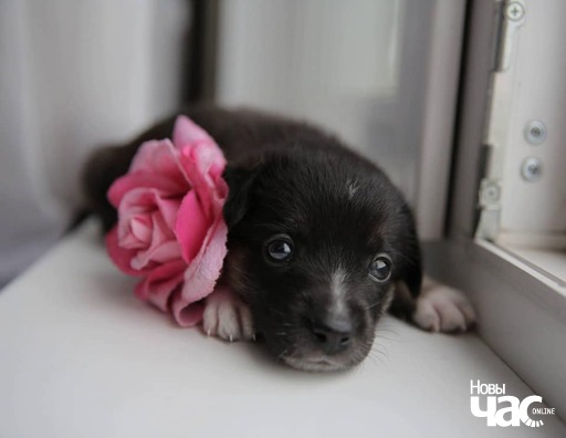 83401062_1187711691582411_1154103021776662619_n_logo.jpg 83401062_1187711691582411_1154103021776662619_n_logo.jpg