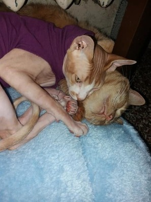 83632943_614632962659564_4533953192043479040_n_logo.jpg 83632943_614632962659564_4533953192043479040_n_logo.jpg