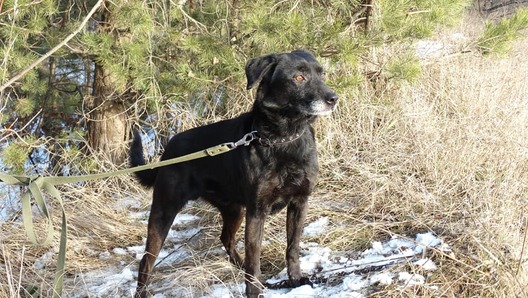 84995852_503001093958763_8024563303520927744_n_logo.jpg 84995852_503001093958763_8024563303520927744_n_logo.jpg