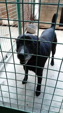 85178282_503001127292093_698676786900238336_n_logo.jpg 85178282_503001127292093_698676786900238336_n_logo.jpg