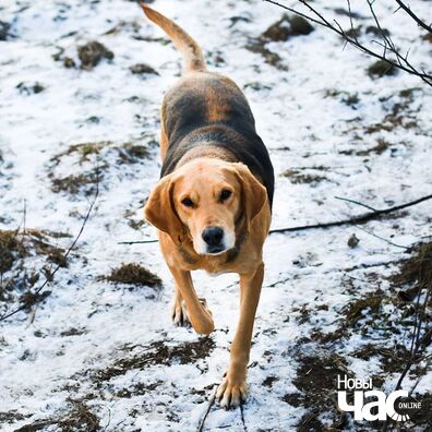 89096172_3842268832479777_5350982660393009152_o_logo.jpg 89096172_3842268832479777_5350982660393009152_o_logo.jpg