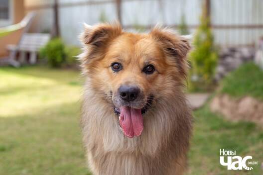 8xtqzssif4q_logo.jpg 8xtqzssif4q_logo.jpg