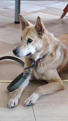 90345628_3009610729265441_6653671714720841728_n_logo.jpg 90345628_3009610729265441_6653671714720841728_n_logo.jpg