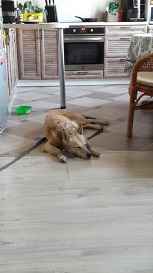 90441842_3009610749265439_3615734182531039232_n_logo.jpg 90441842_3009610749265439_3615734182531039232_n_logo.jpg